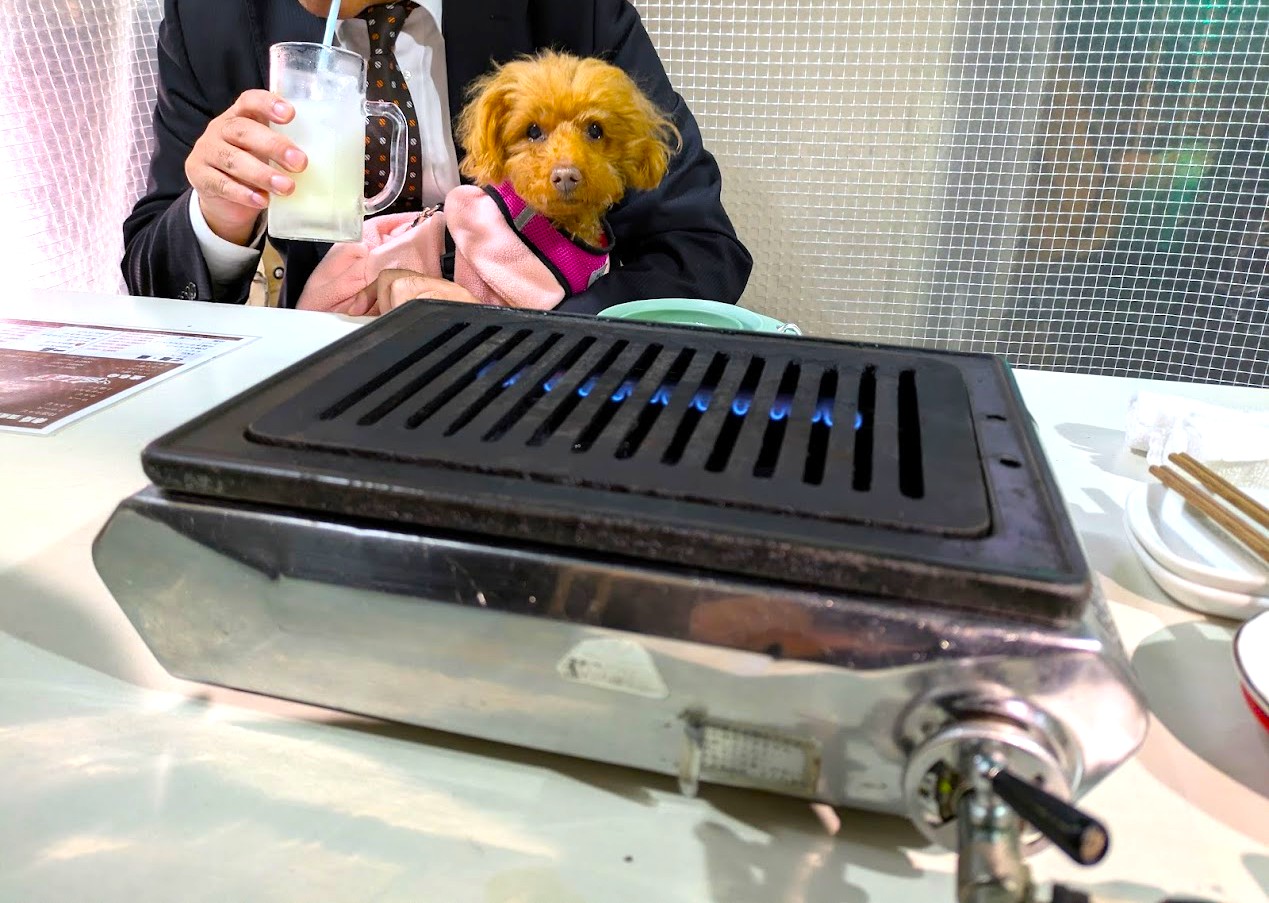 ホルモン福゜福゜