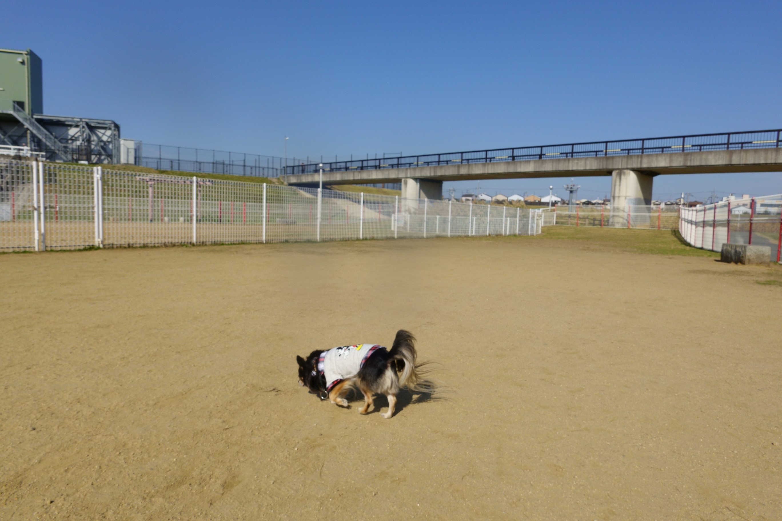 花園中央公園ドッグラン