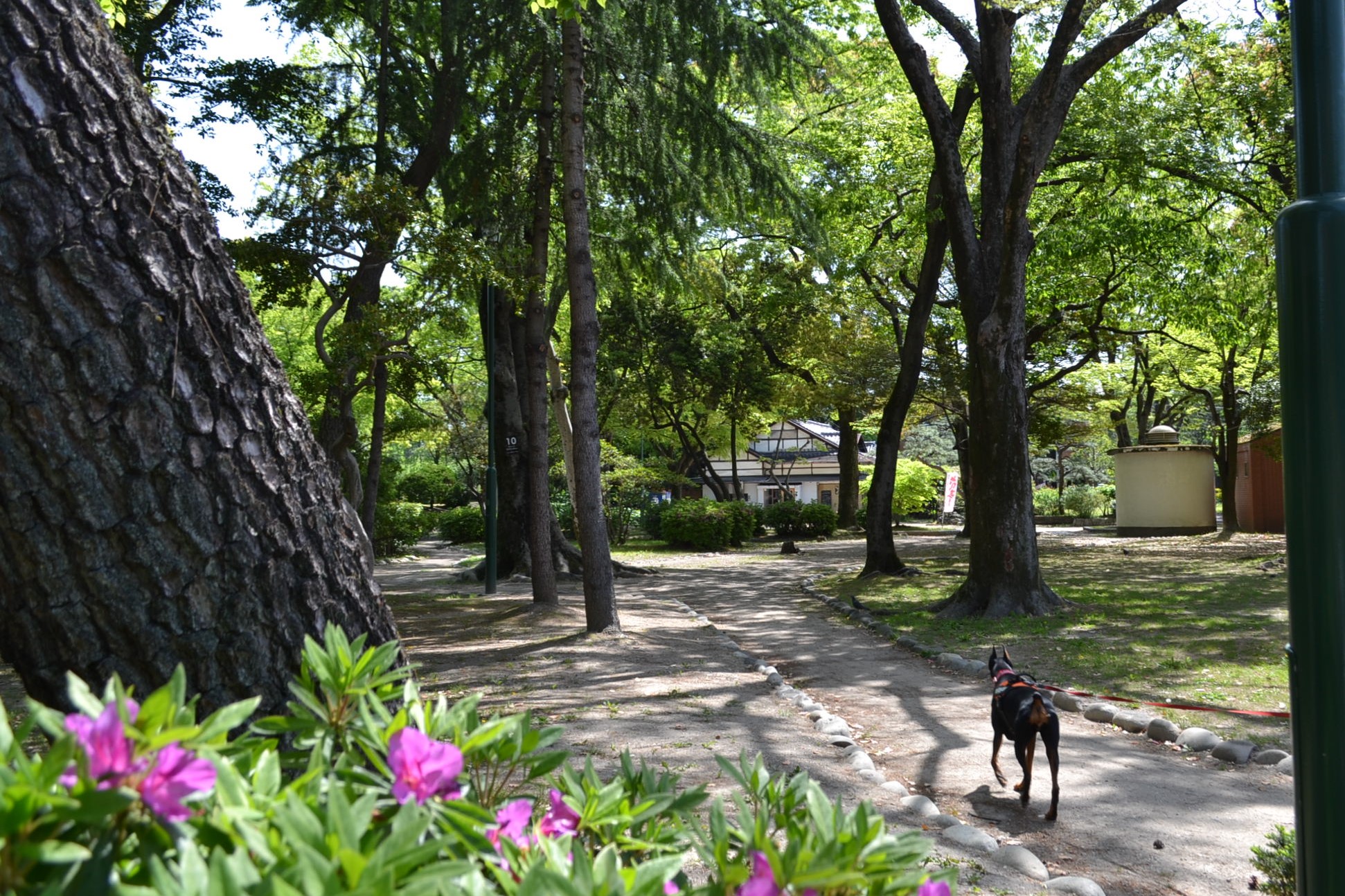 ヌンクヌスク鶴舞公園