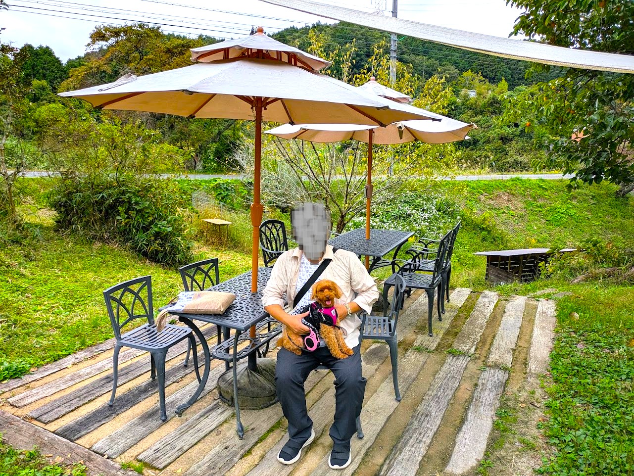 やさい菓子工房ココアイ大和高原店