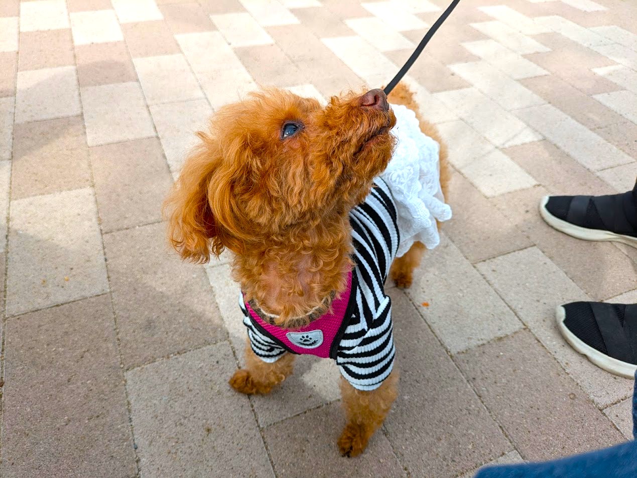 浪華焼肉さぶろう