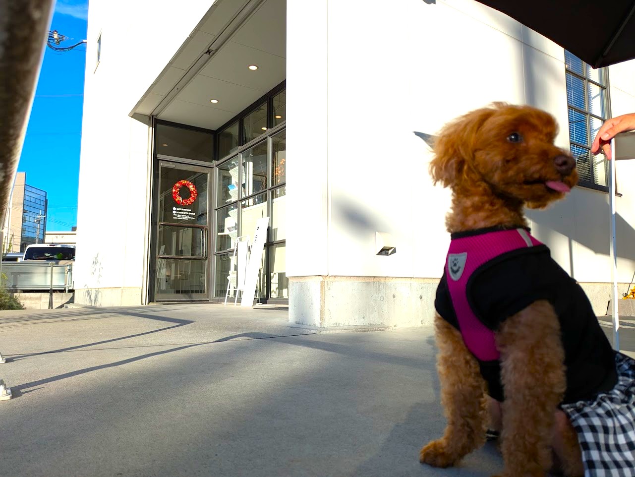 アブレッドオブフレッシュエア