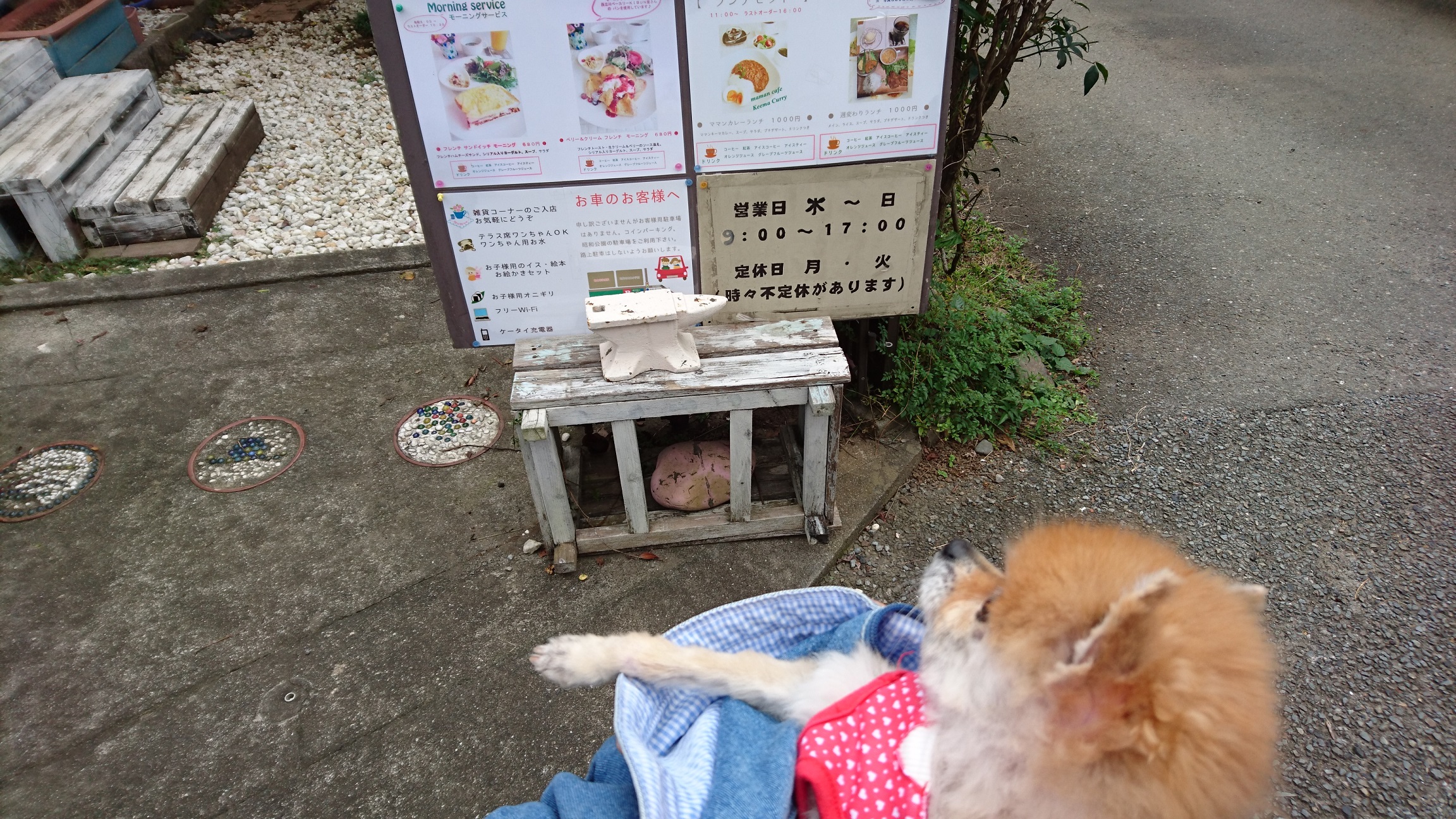 【関東】愛犬と美味しいケーキが食べられるお店