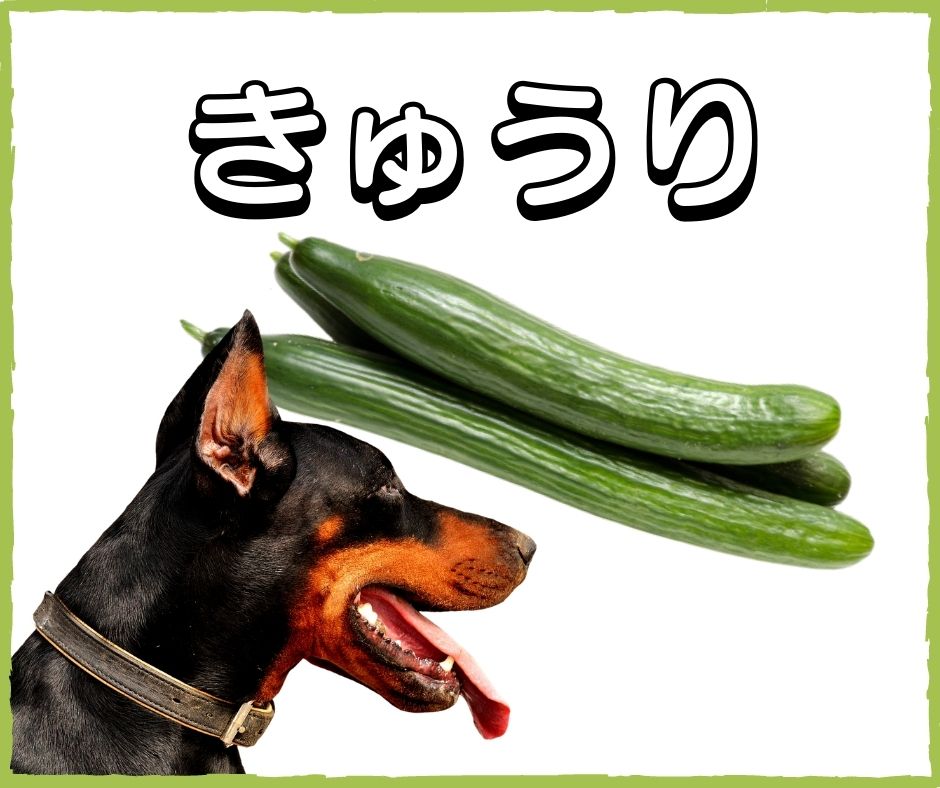 愛犬メニューに夏野菜を取り入れよう！NG食材も紹介