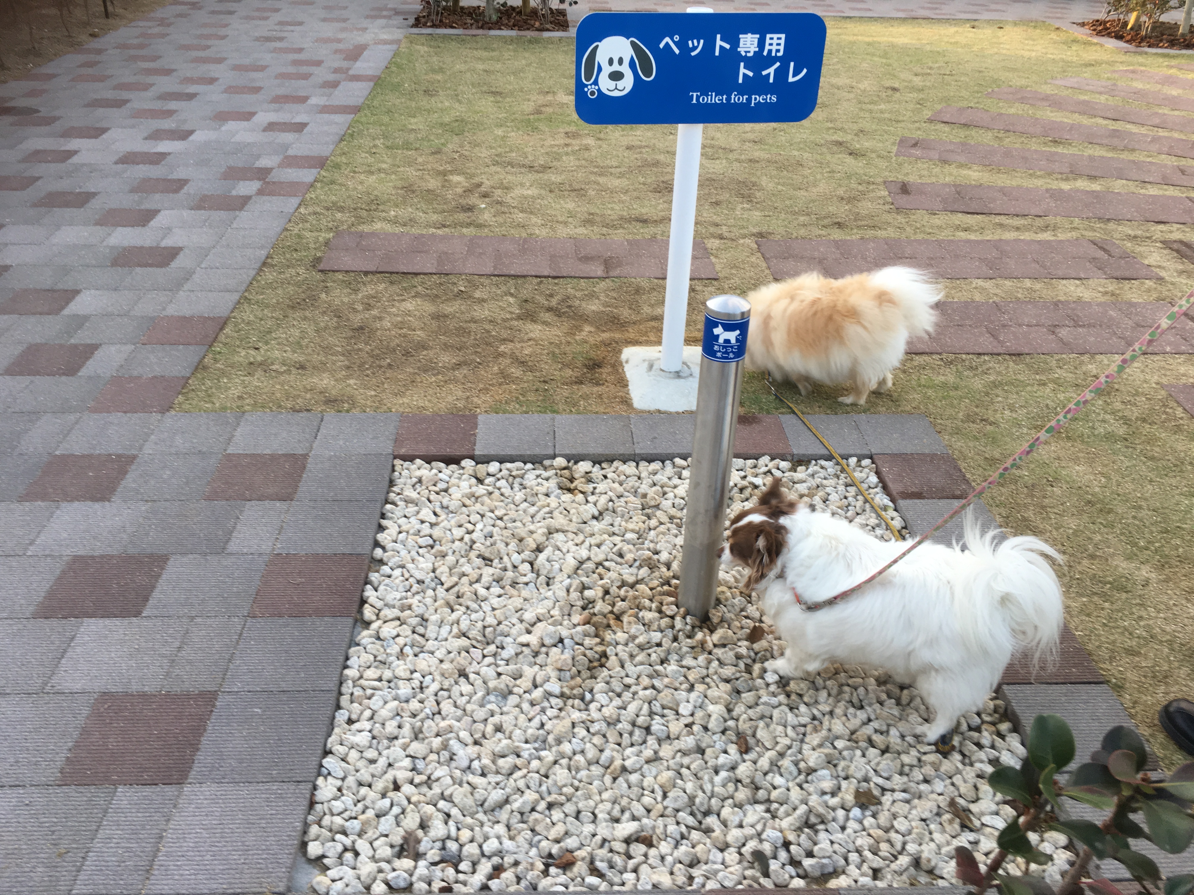 新名神高速道路