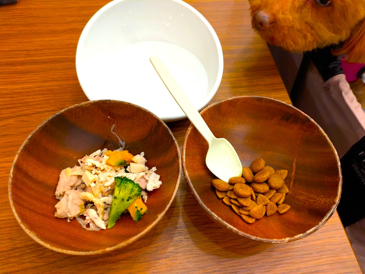 わんわんパラダイス奈良生駒