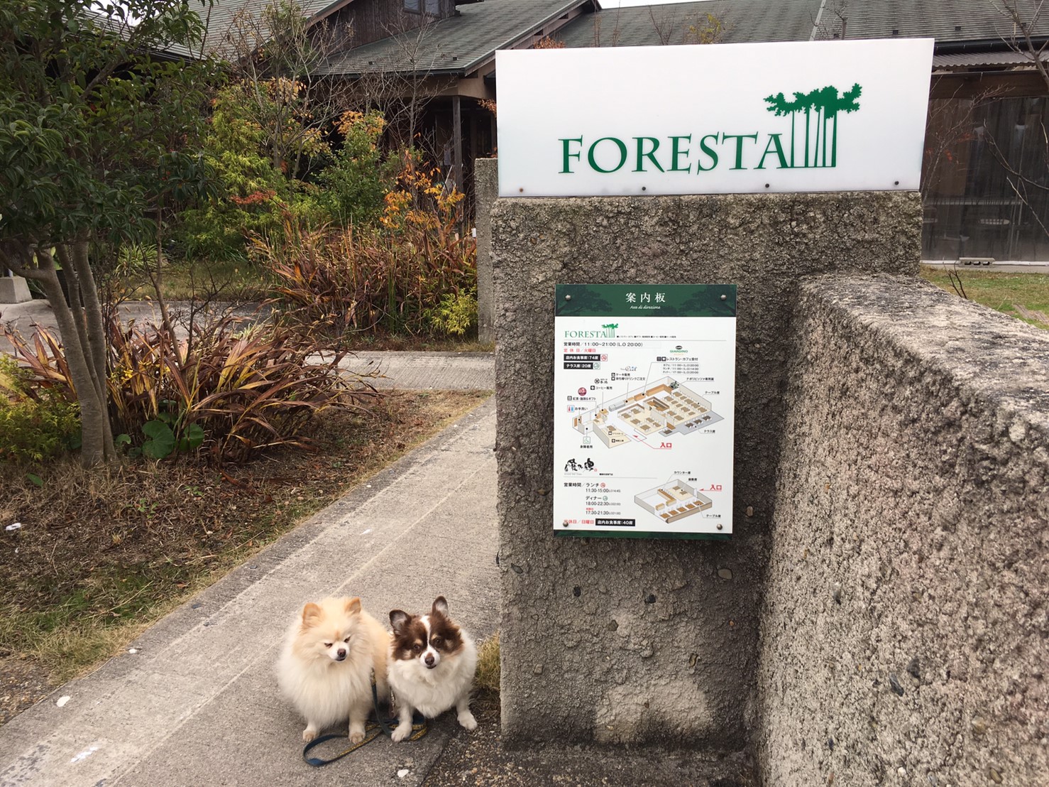 【JR山陰線東山公園駅】「カフェ ジャルディーノ」ナポリスタイルの本格ピッツァが楽しめる！ペット・犬同伴可【鳥取県