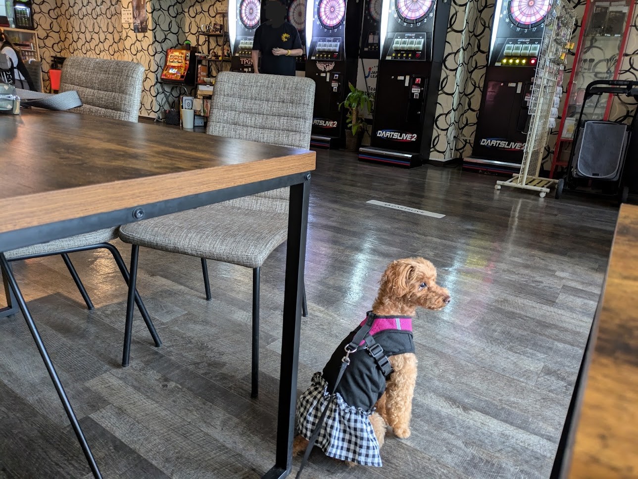 cafe&darts
