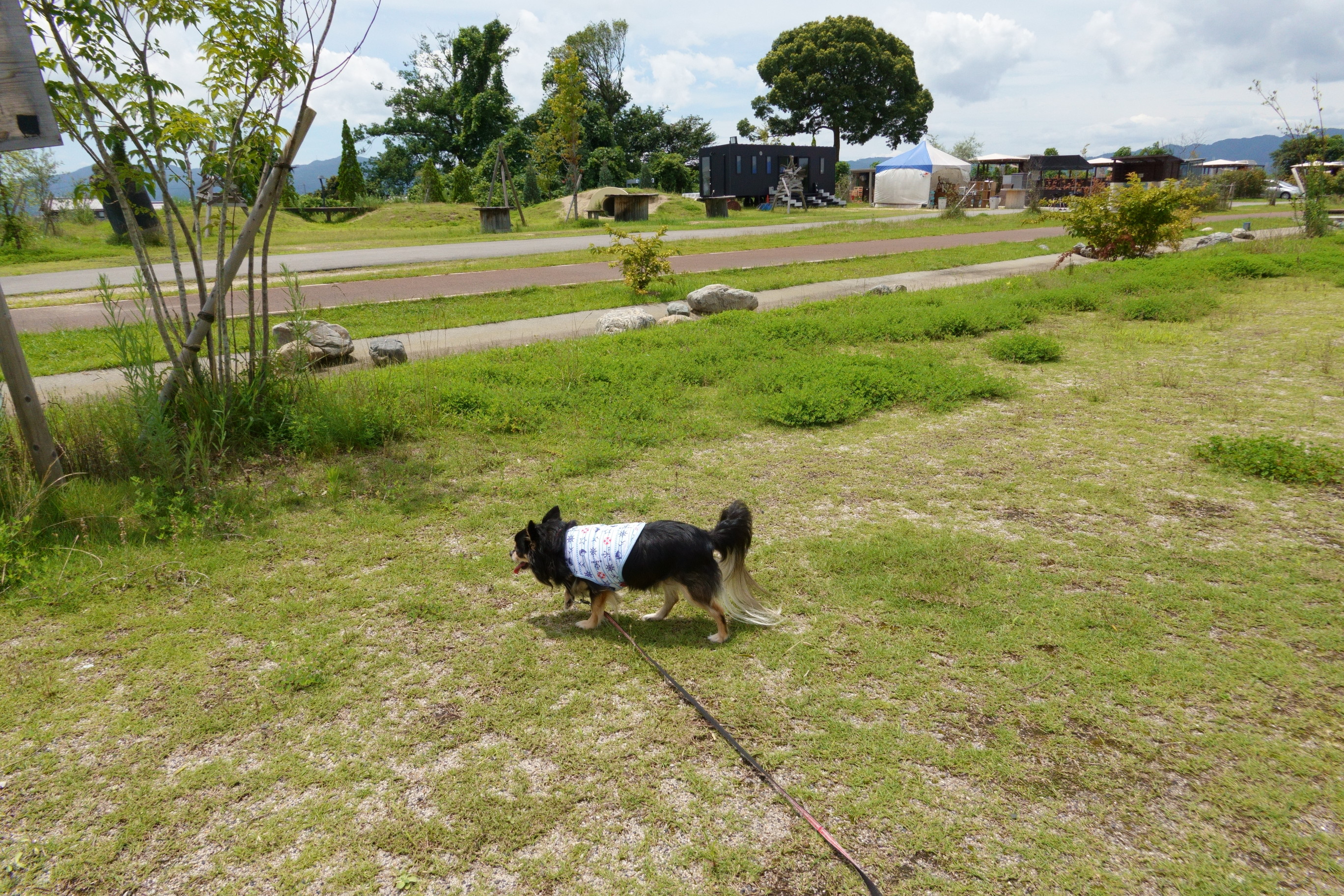 カフェ カイマナリオ