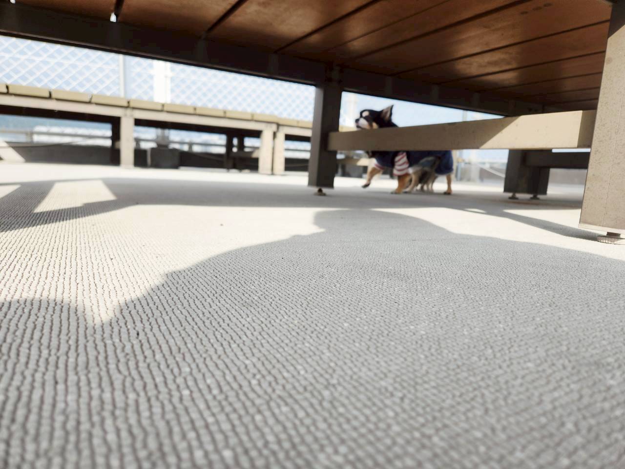 おもてなしホステル宮島