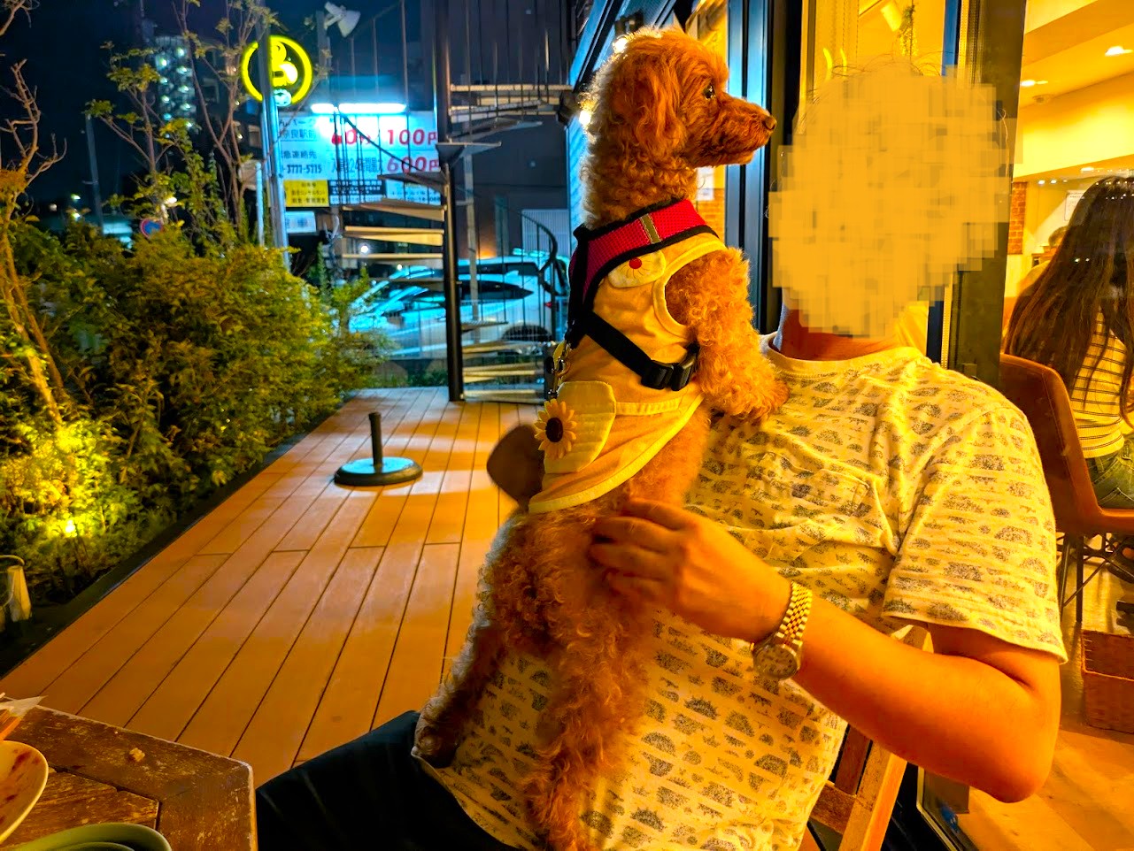 Cafe&terrace kikinomori