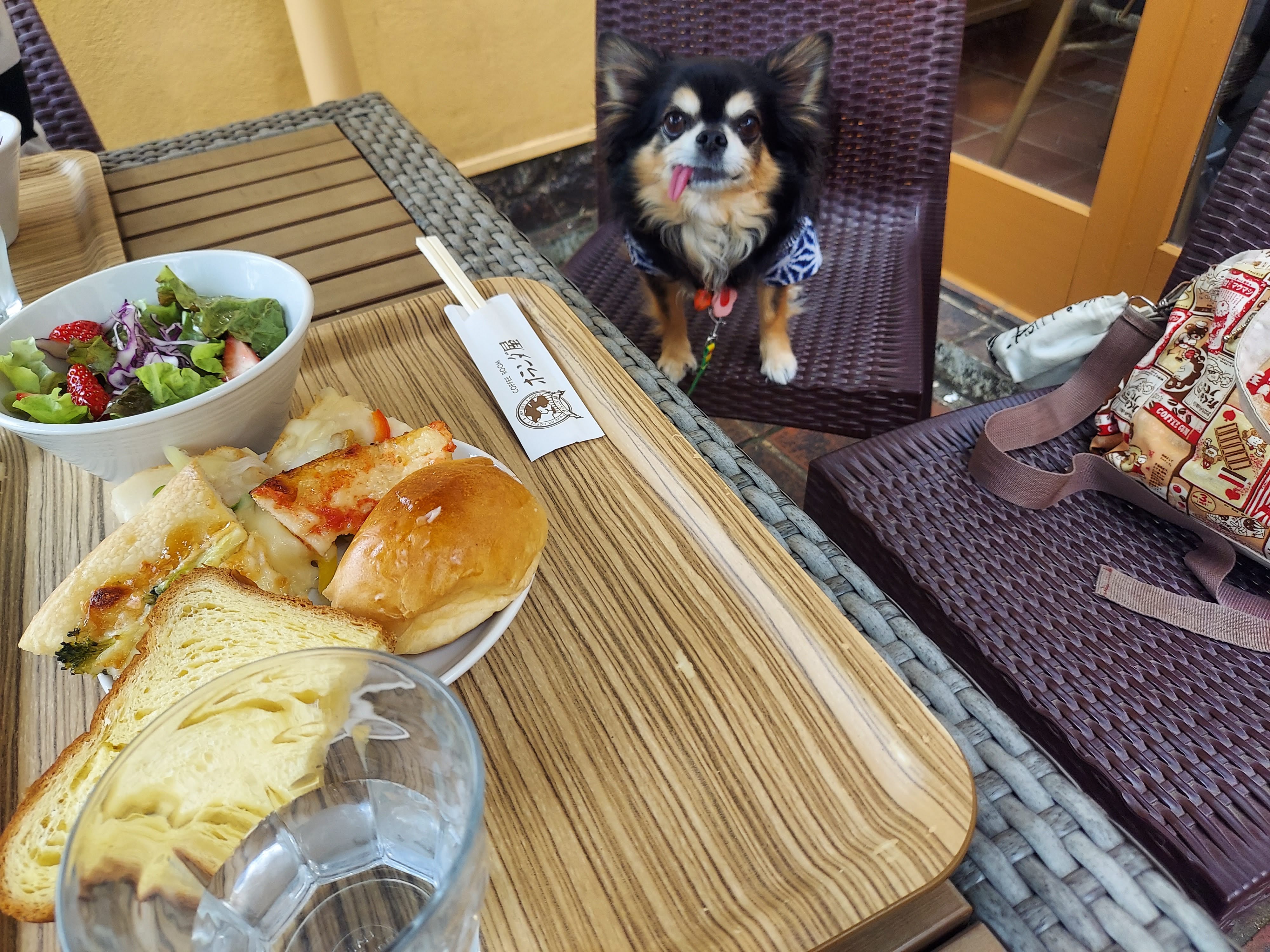 オランダ屋 奈良店
