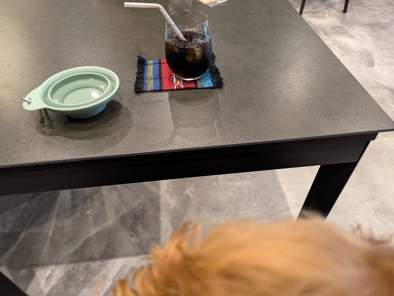 PIPI
