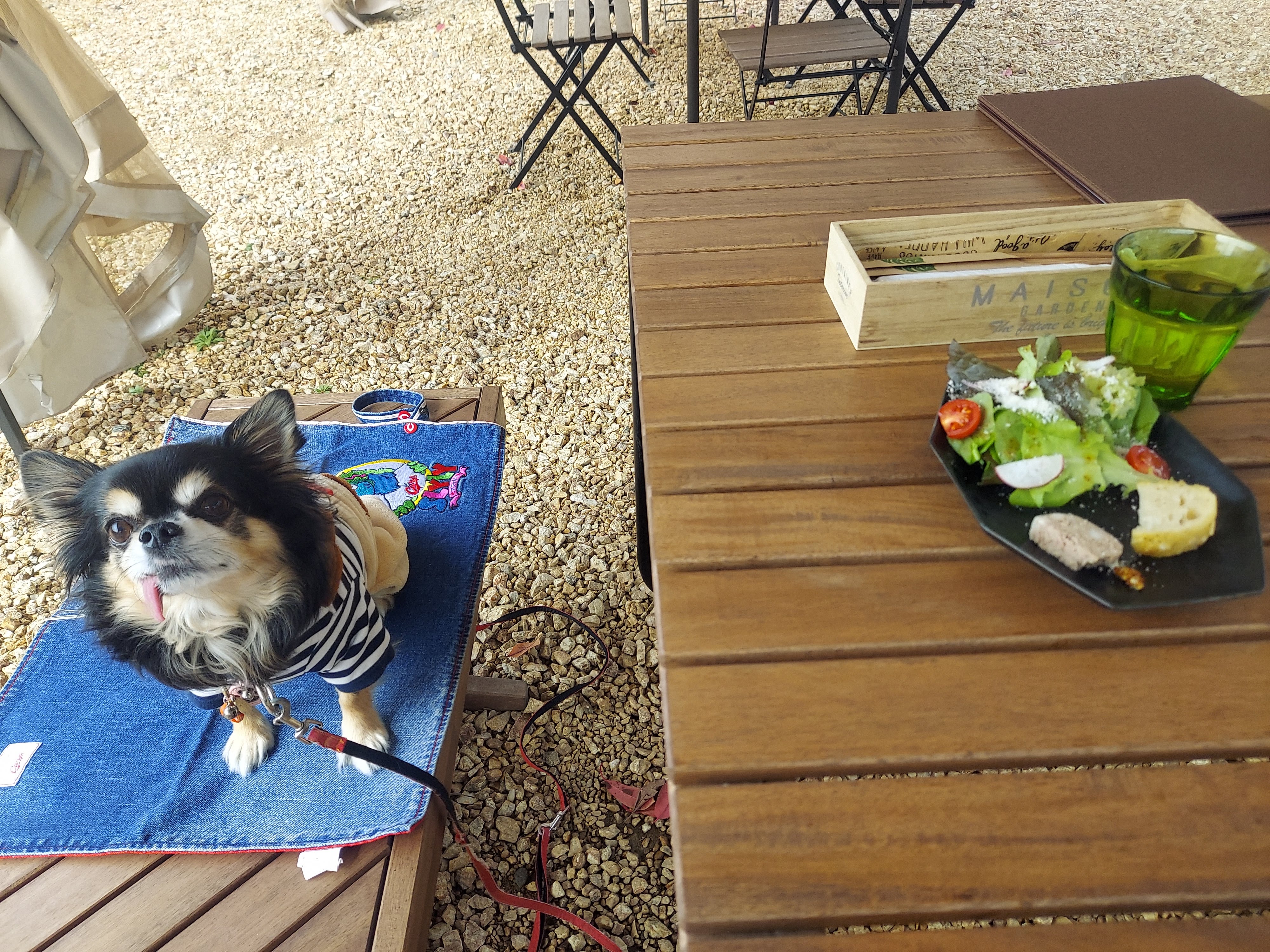 Cave des ARTIVEURS(キャーヴ・デ・ザルティバー)