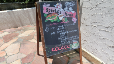 パン教室と小さなカフェcoocoo