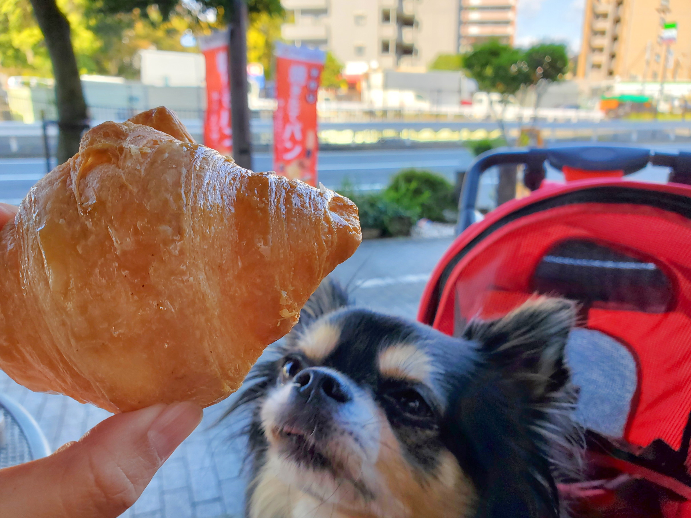 ル クロワッサン 鶴見緑地店