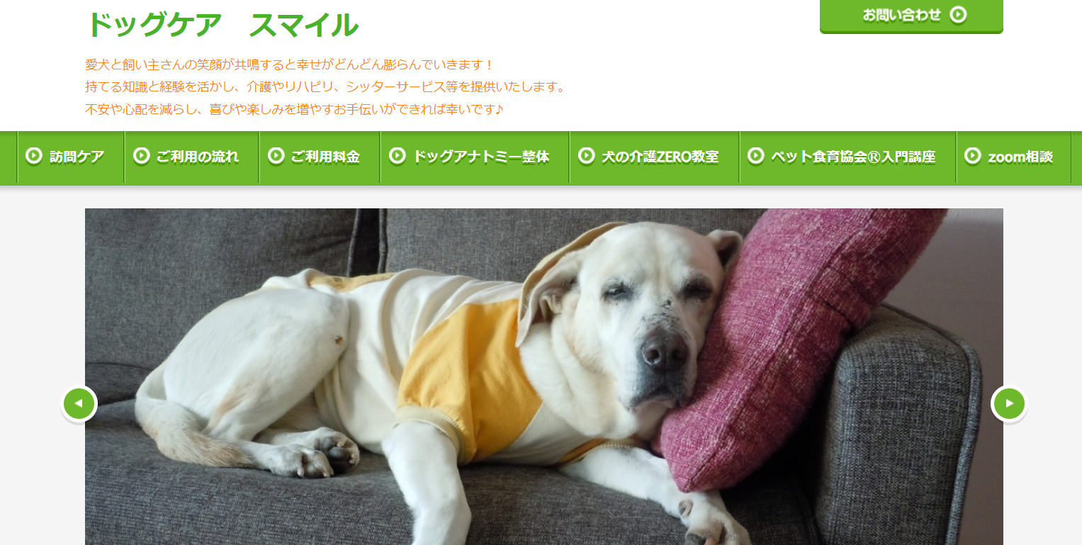 わんちゃんの気になるごはんのこと「トッピングってどうなの?」