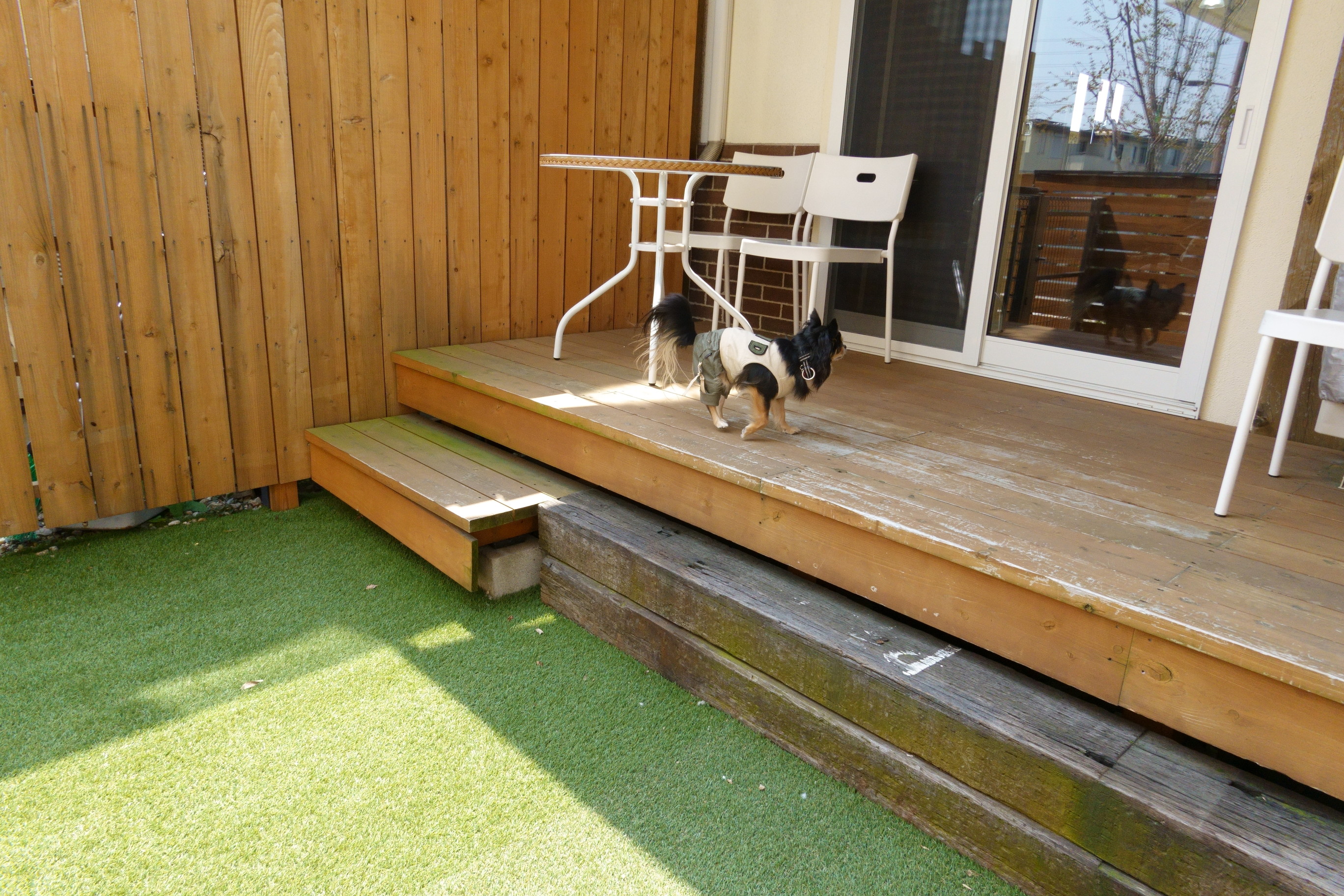 Dogcafe&salon