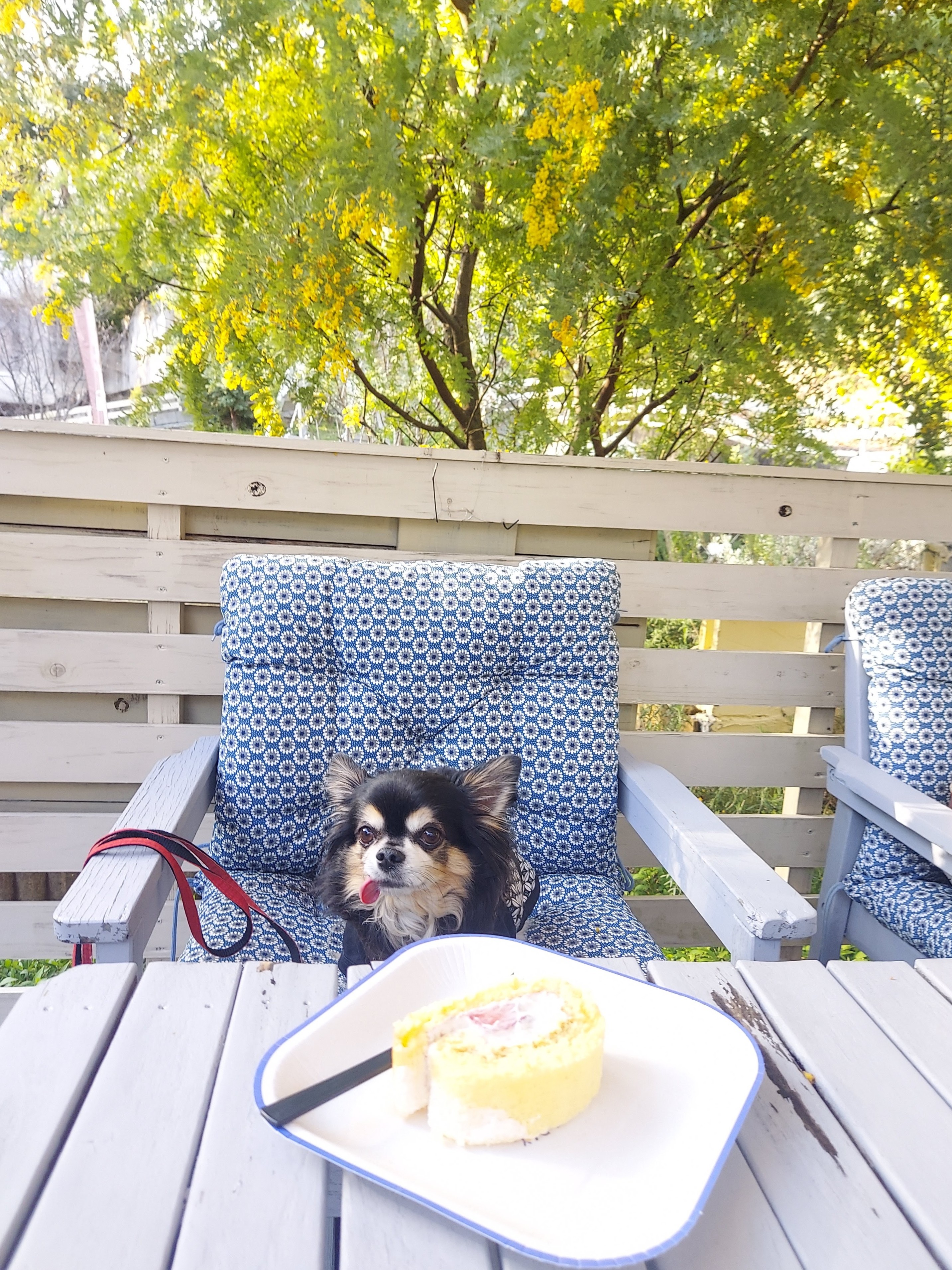 gongoncafe(ごんごんカフェ)