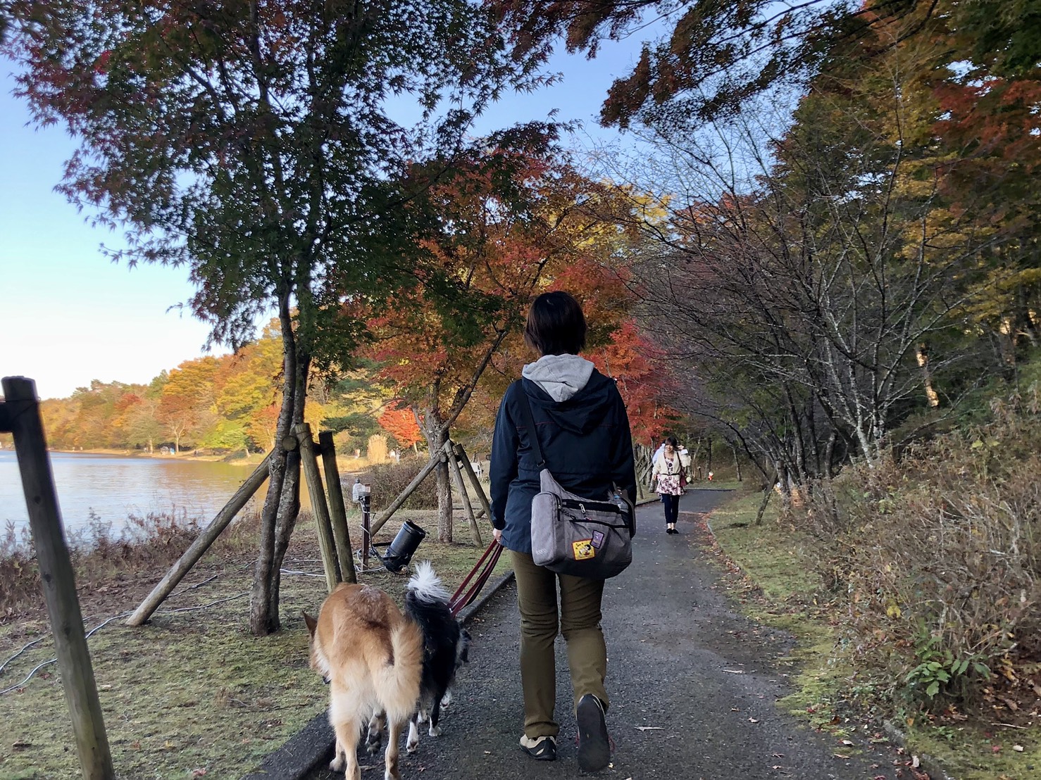 夕焼けの渚紅葉まつり