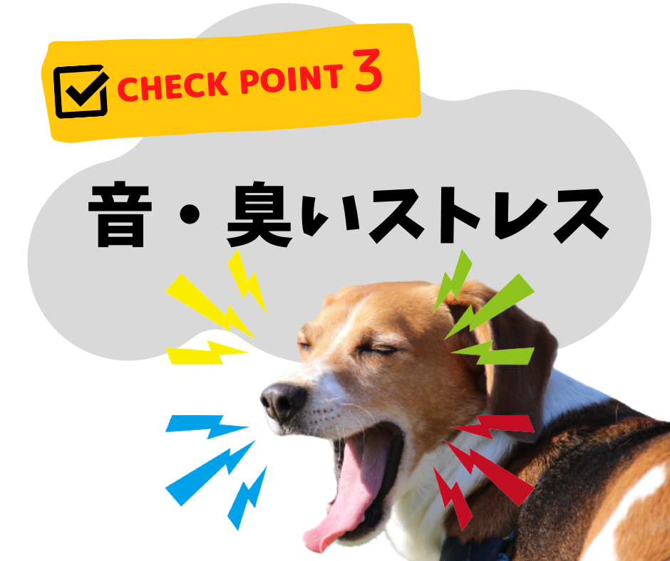 愛犬が自宅で感じるストレスは?早めに気づくためにチェックしよう!