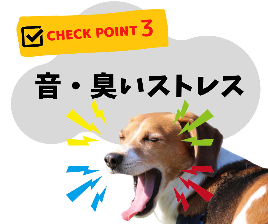 愛犬が自宅で感じるストレスは？早めに気づくためにチェックしよう!