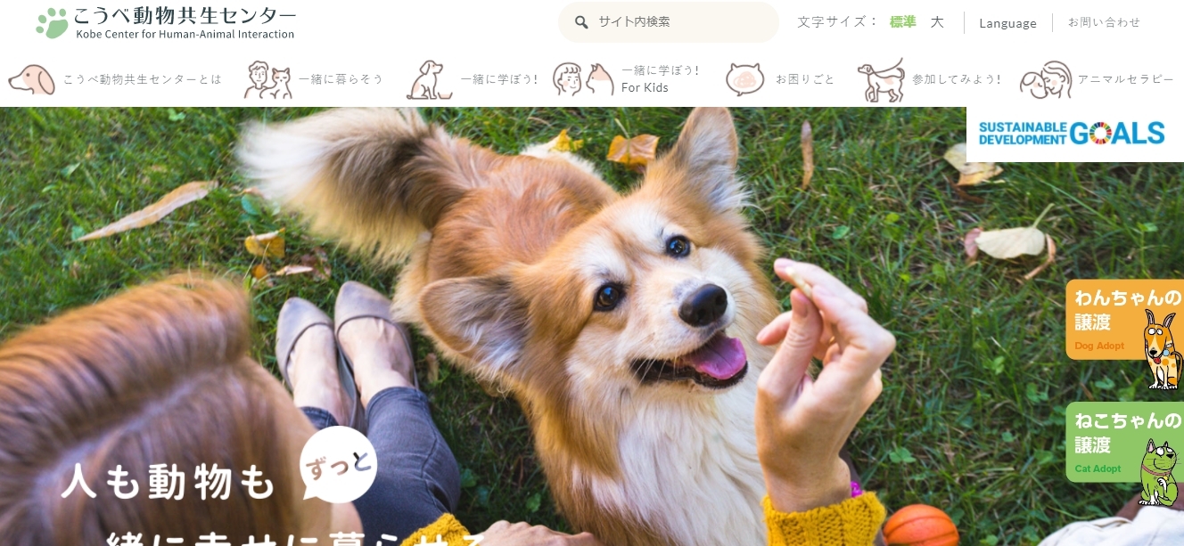 老犬との暮らし方教室