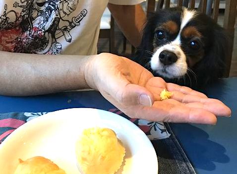 【関東】愛犬と美味しいケーキが食べられるお店