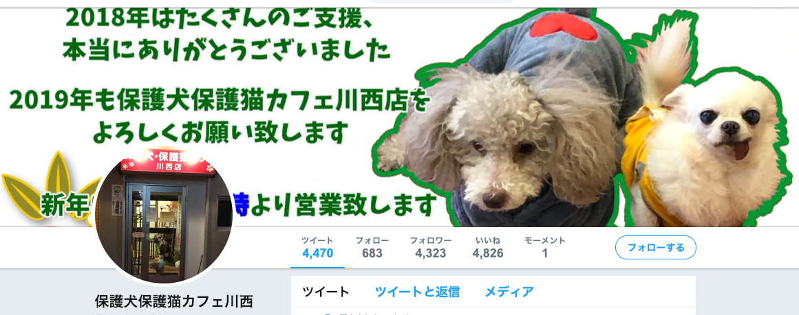【関東・関西】〜保護犬カフェまとめ〜