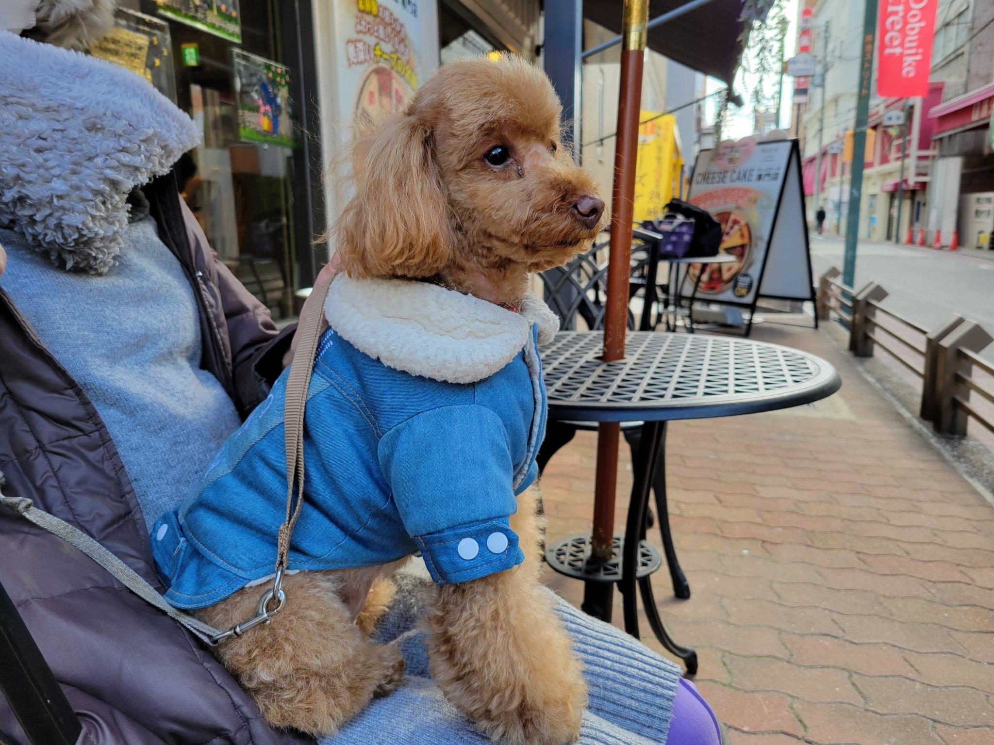 アンツコーヒーカンパニー