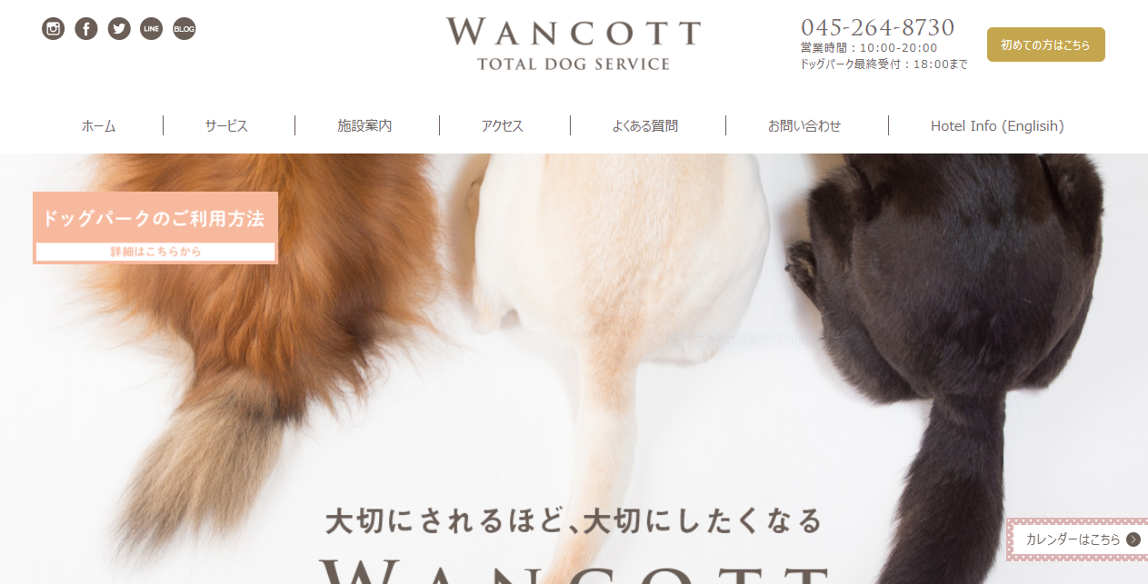 WANCOTTアジリティ開放DAY