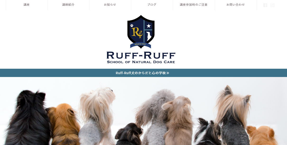 老犬介護のプロが教える!実践シニアケア講座4