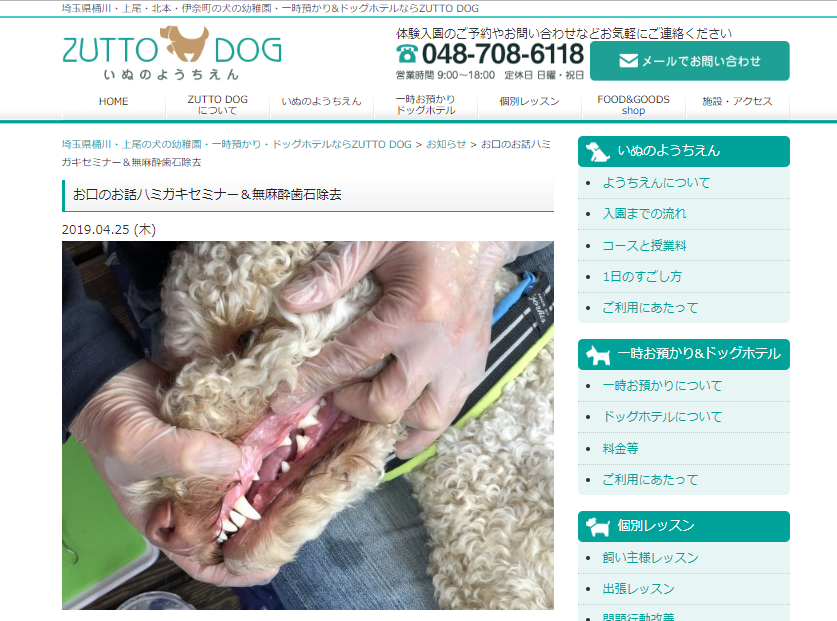 ハミガキセミナー&無麻酔歯石除去