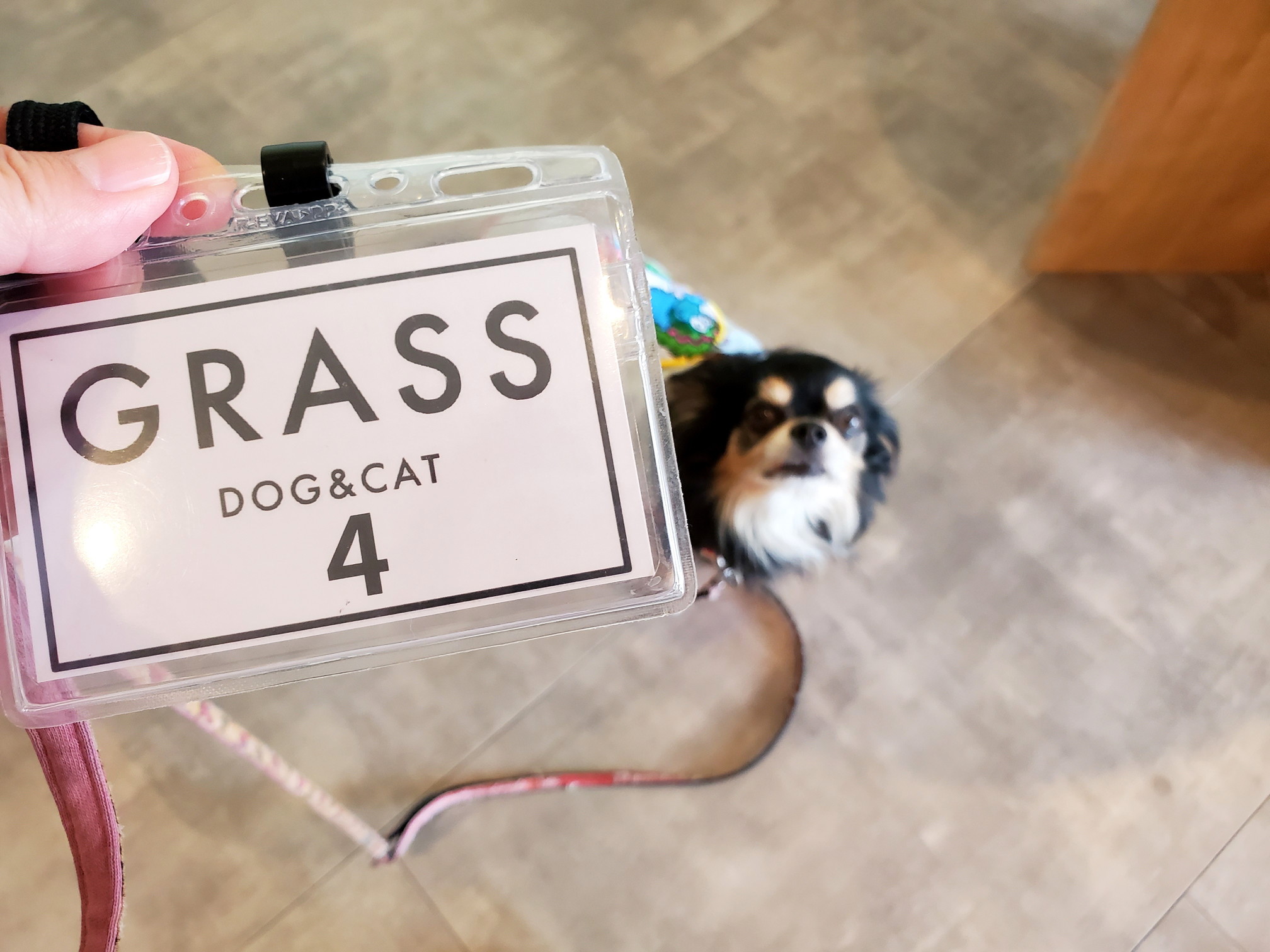 GRASS DOG＆CAT(グラスドッグ＆キャット) 高槻安満遺跡公園店