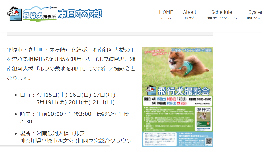 東日本飛行犬撮影会
