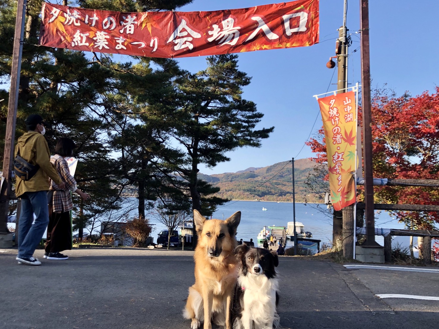 夕焼けの渚紅葉まつり