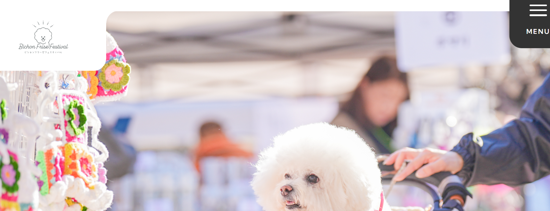 ビションフリーゼフェスティバル 2025 クリパ