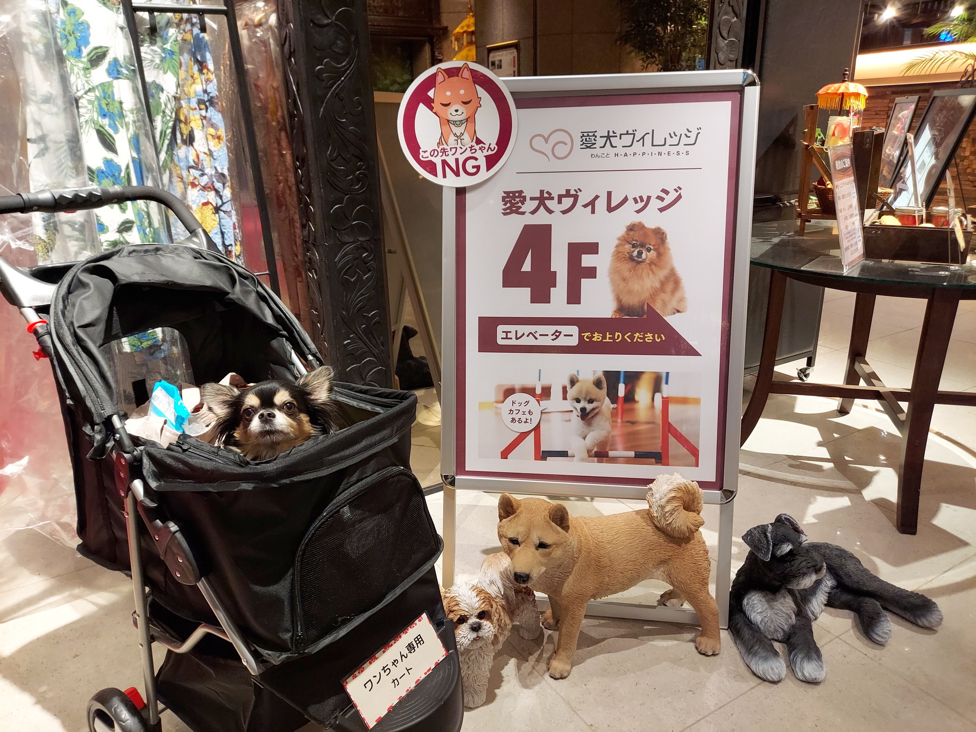 愛犬ヴィレッジ大阪天王寺店