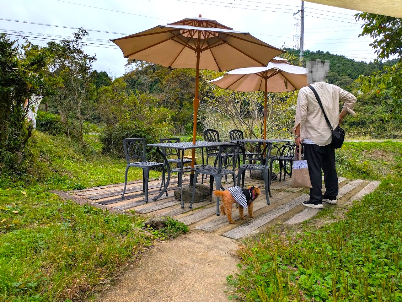 やさい菓子工房ココアイ大和高原店