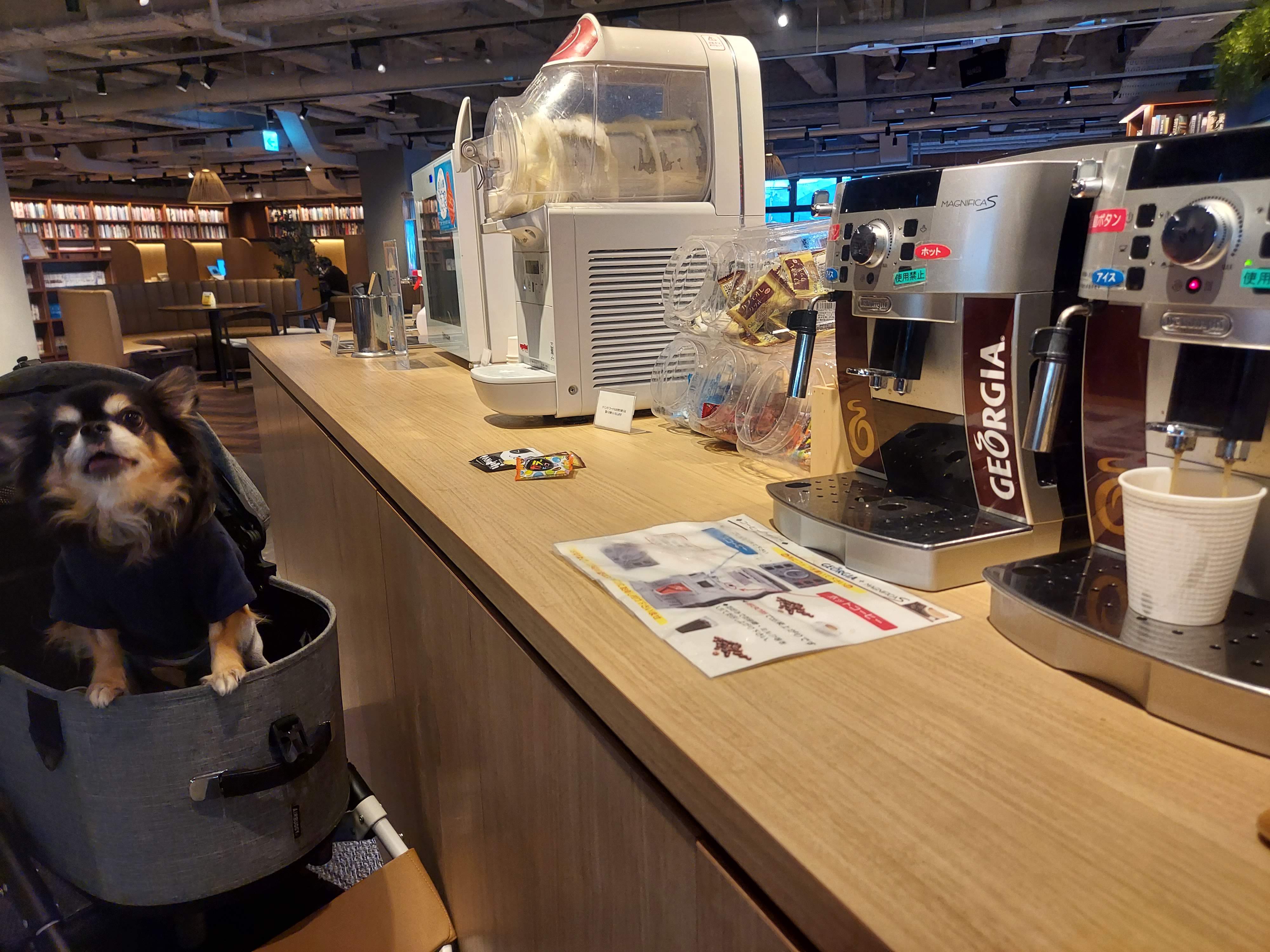 TODOROKI Cafe+（トドロキカフェ プラス）