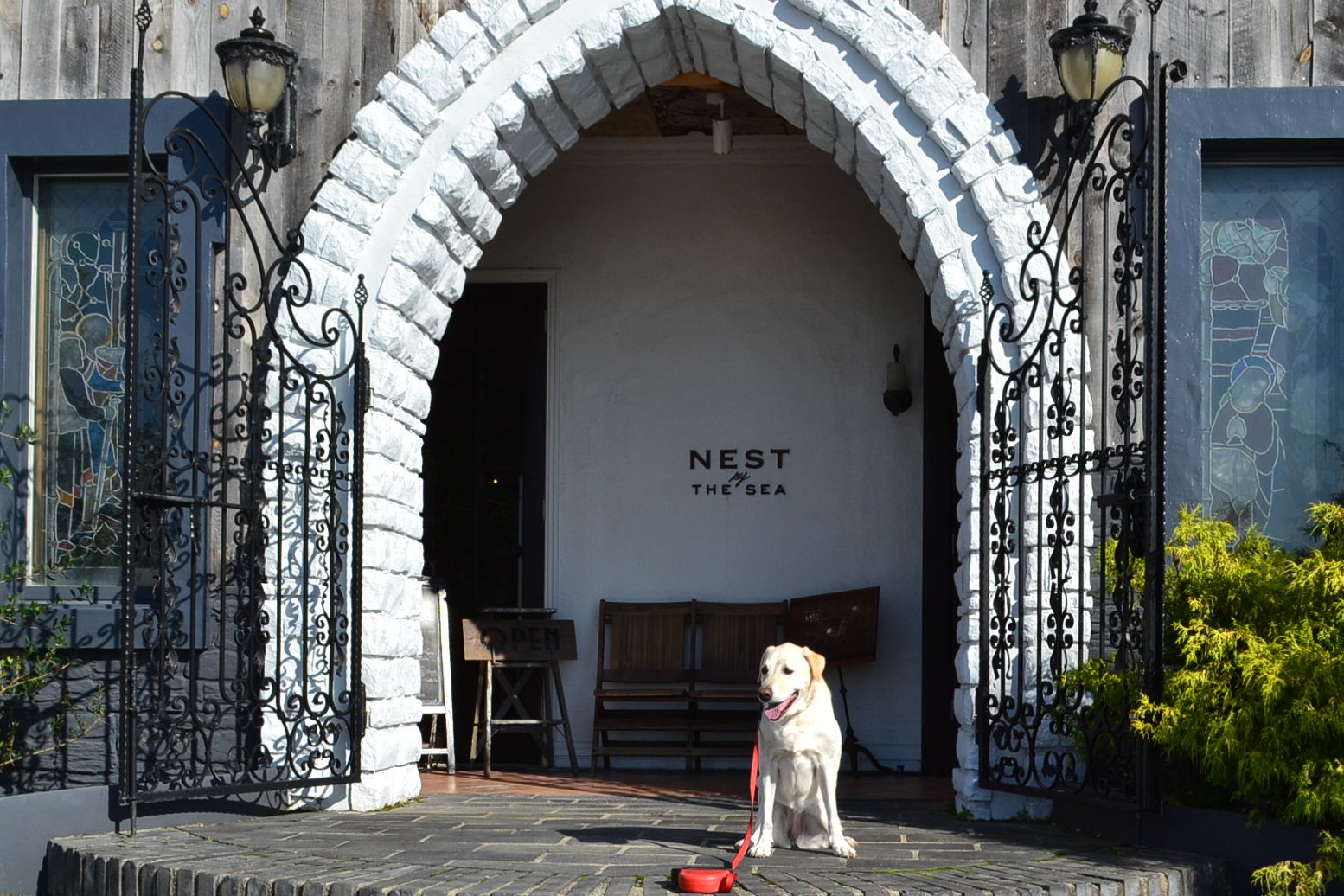 新舞子駅 Nest By The Sea ネスト バイ ザ シー 海辺をお散歩した後はテラスで愛犬とカフェタイム テラス席犬同伴可 愛知県知多市 ペットと一緒