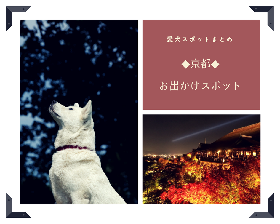 京都 ワンコ連れにおすすめ すべての愛犬スポット 観光スポット まとめ 京都府 ペットと一緒