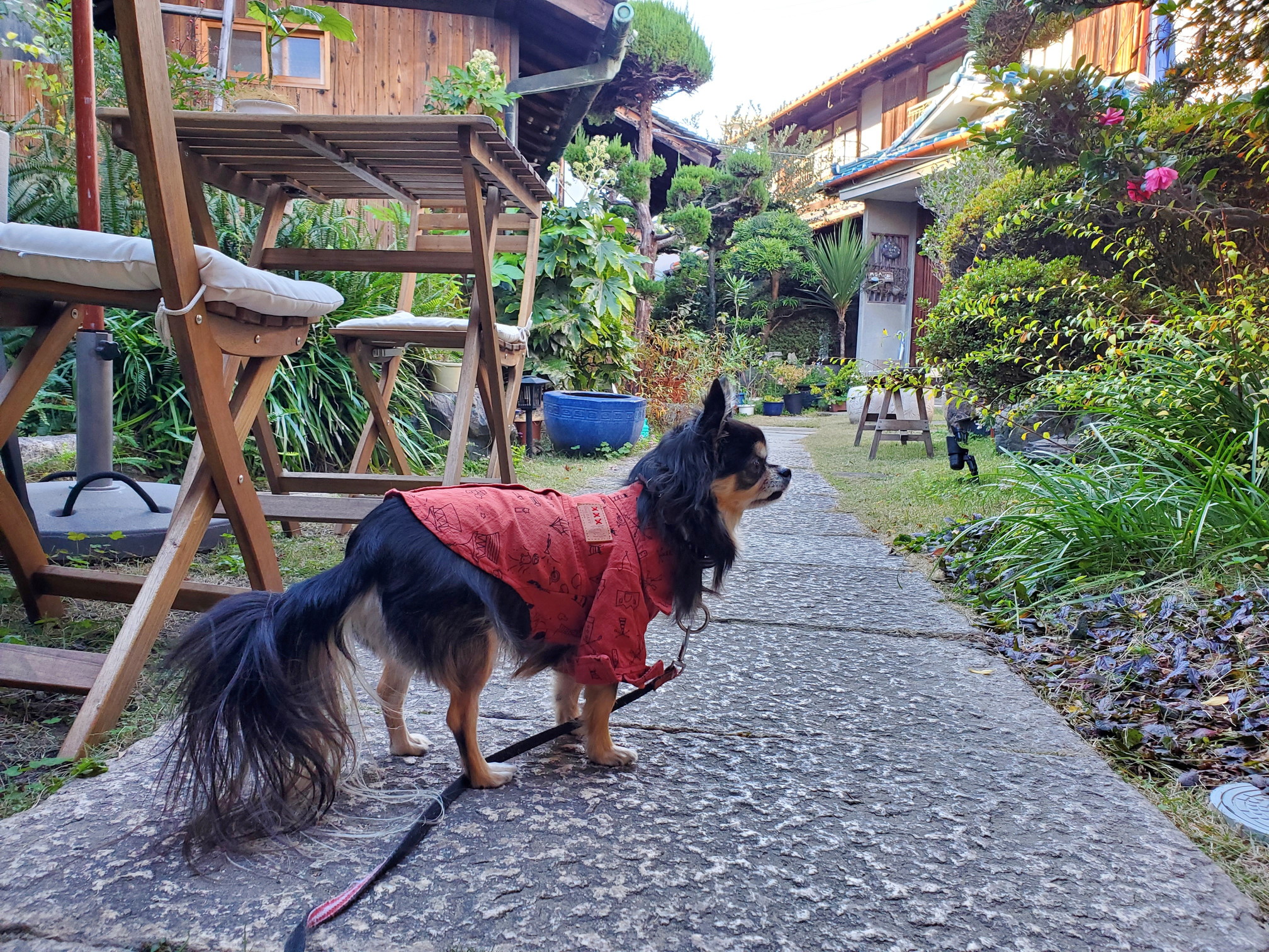 Kuraru Cafe(くらるカフェ)