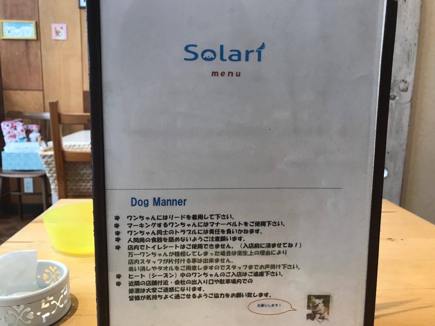 solari(そらり)