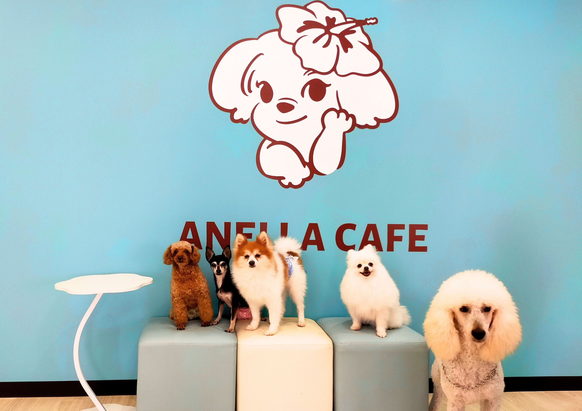 ANELLA CAFE アネラカフェ西宮店