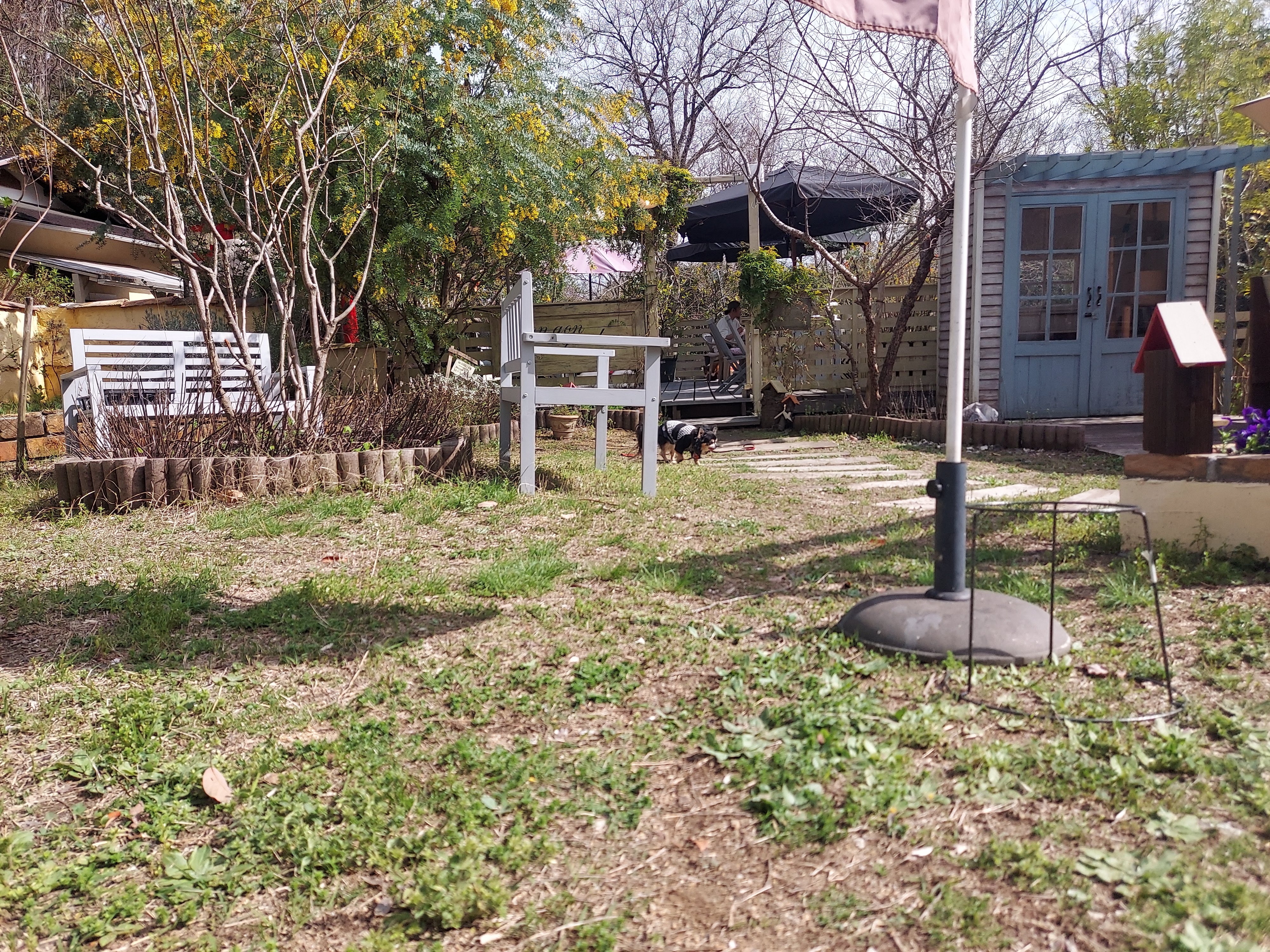 gongoncafe(ごんごんカフェ)