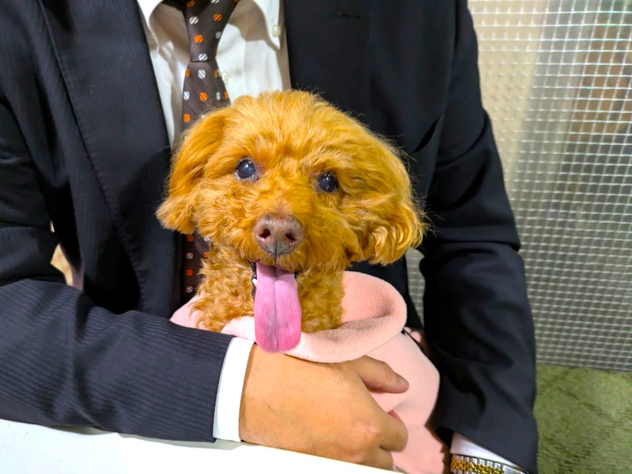 ホルモン福゜福゜