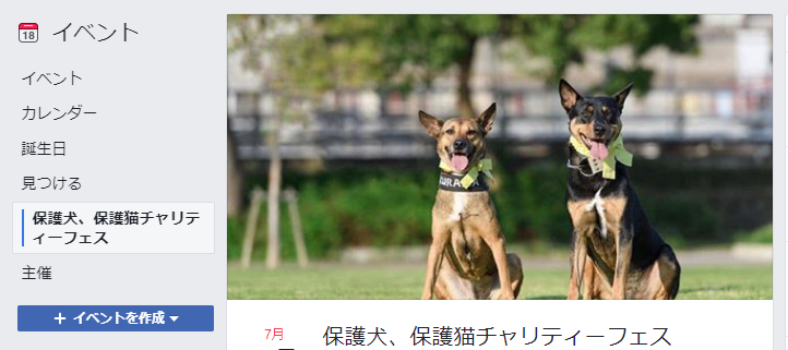 保護犬・保護猫チャリティーフェス