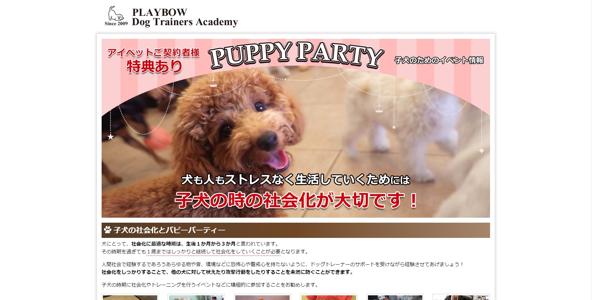 【東京都町田市】子犬の社会化に最適なパピーパーティー ペットと一緒