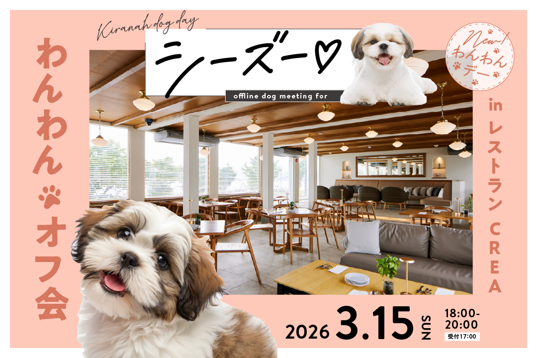 わんわんデー『シーズーオフ会』